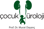 Çocukuroloji