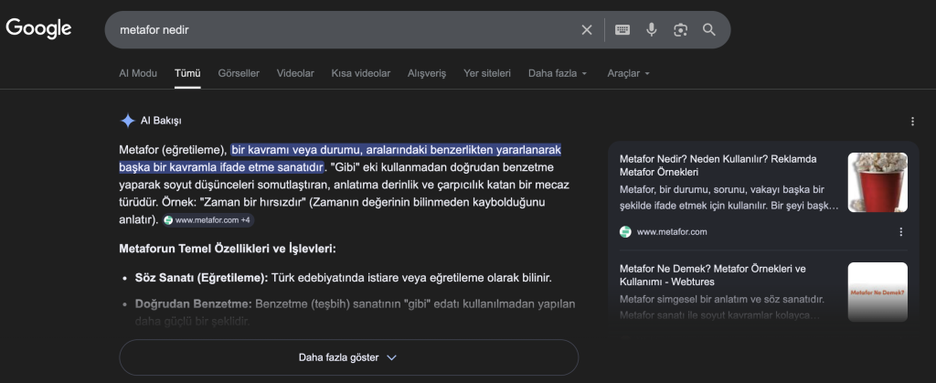 google ai bakışı