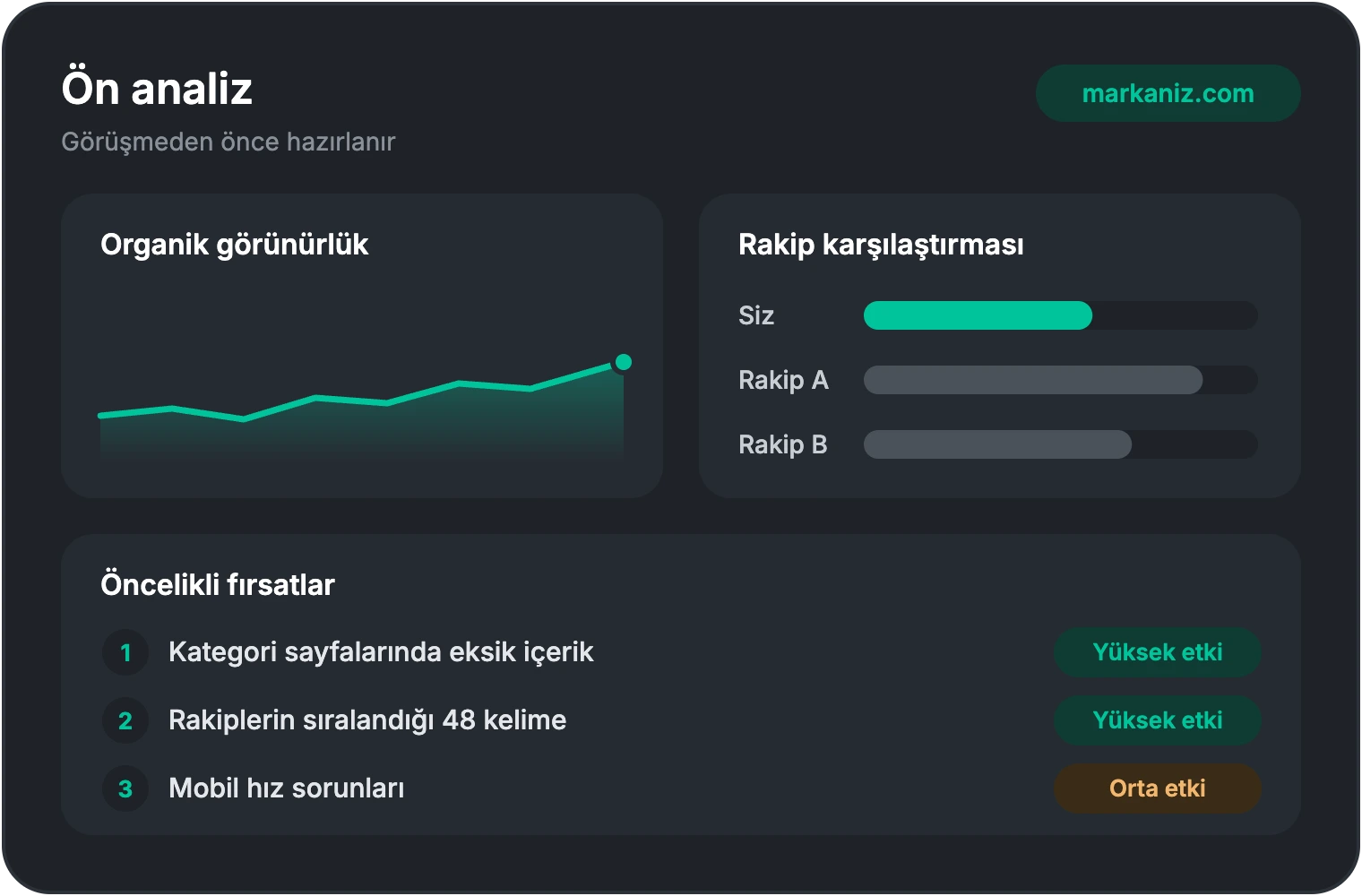 SEO ön analiz raporu: organik görünürlük, rakip karşılaştırması ve öncelikli fırsatlar